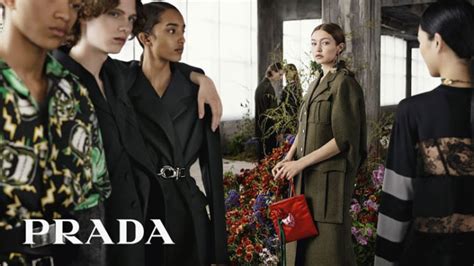 prada lavora con noi settore complince|prada job.